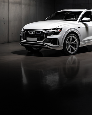 The Audi Collection